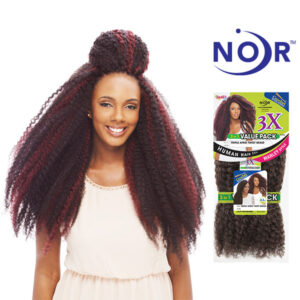 Janet Collection 3X Noir AFRO TWIST BRAID 18"