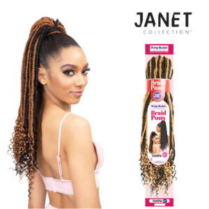 Janet Collection REMY ILLUSION BRAIDPONY TAMPA